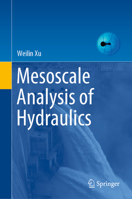 Mesoscale Analysis of Hydraulics 9811597871 Book Cover