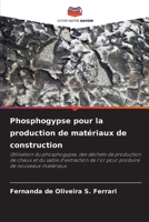 Phosphogypse pour la production de matériaux de construction (French Edition) 6208404975 Book Cover