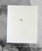 One, No One, and One Hundred 9053308210 Book Cover