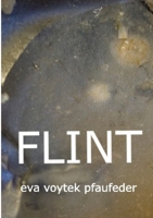 Flint 1716060613 Book Cover