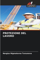Protezione del Lavoro 6209472818 Book Cover
