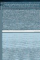 Tutem's Pool 1957546417 Book Cover