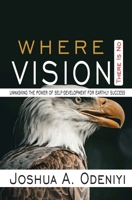 Where There is no Vision: Unmasking the Power of Self-development for Earthly Success B0GKVP2C3J Book Cover