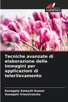 Tecniche avanzate di elaborazione delle immagini per applicazioni di telerilevamento (Italian Edition) B0CKKZYN6H Book Cover
