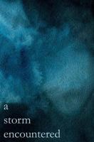 A storm encountered 0692873171 Book Cover