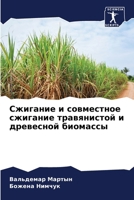 ???????? ? ?????????? ???????? ??????????? ? ????????? ???????? (Russian Edition) 6207568044 Book Cover