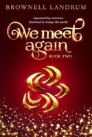 We Meet Again: Book Two of the acclaimed reincarnation mystery about a famous couple reunited to change the world. 1947102265 Book Cover