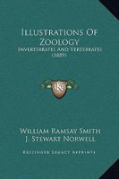Illustrations Of Zoology: Invertebrates And Vertebrates 1120298571 Book Cover