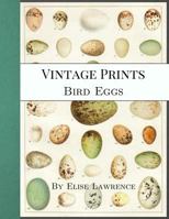 Vintage Prints: Bird Eggs 1544844026 Book Cover