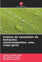 Síntese de nanotubos de halloysita nanocompósitos: uma visão geral (Portuguese Edition) 6209498264 Book Cover