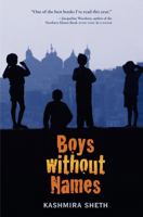 Boys without Names 0061857629 Book Cover