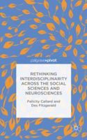 Rethinking Interdisciplinarity Across the Social Sciences and Neurosciences 1137407956 Book Cover