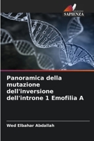 Panoramica della mutazione dell'inversione dell'introne 1 Emofilia A 6205775964 Book Cover