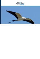 Nayap 6200620032 Book Cover