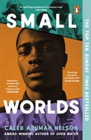 Small Worlds 024199604X Book Cover