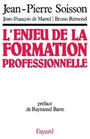 L'Enjeu de la formation professionnelle 2213017522 Book Cover