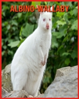 Albino-Wallaby: Lustige Fakten & coole Bilder B08WP51FMP Book Cover