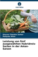 Leistung von fünf ausgewählten Hybridreis-Sorten in der Aman-Saison (German Edition) 6208865743 Book Cover