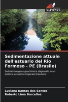 Sedimentazione attuale dell'estuario del Rio Formoso - PE (Brasile) (Italian Edition) 6208402662 Book Cover