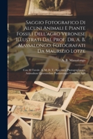 Saggio Fotografico Di Alcuni Animali E Piante Fossili Dell'agro Veronese Illustrati Dal Prof. Dr. A. B. Massalongo, Fotografati Da Maurizio Lotze: Con ... Quorumdam Plantarunque Fossilium Agri 1021879835 Book Cover