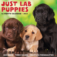 Just Lab Puppies 2022 Wall Calendar (Labrador Retriever Dog Breed) 1549218603 Book Cover