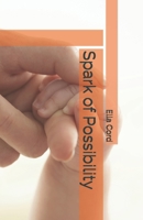 Spark of Possibility B0GXJZBSJH Book Cover