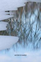 Skylight 1553805445 Book Cover