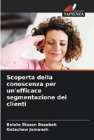 Scoperta della conoscenza per un'efficace segmentazione dei clienti (Italian Edition) 6208366283 Book Cover