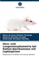 Morfometria do cora��o e pulm�o em descendentes de ratos com leptospirose 6203162647 Book Cover
