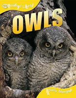 Owls (QED Animal Lives) 1420681117 Book Cover