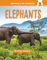 Elephants null Book Cover