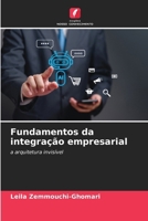 Fundamentos da integração empresarial (Portuguese Edition) 6209731953 Book Cover