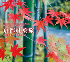 Amazing Autumn Colors in Kyoto 4838105649 Book Cover
