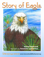 Story of Eagle 0888396414 Book Cover