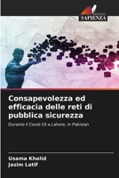 Consapevolezza ed efficacia delle reti di pubblica sicurezza 6205776340 Book Cover