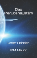 Das Merudansystem: Unter Feinden B094TJK9H9 Book Cover