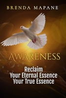 Awareness: Reclaim Your Eternal Essence, Your True Essence B0DXLJKGCK Book Cover