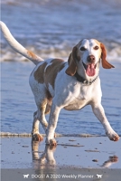 DOGS! A 2020 Weekly Planner: Cover Dog: August (Best Laid Plans) 170764649X Book Cover