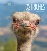 Ostriches 1628323027 Book Cover