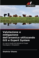 Valutazione e mitigazione dell'arsenico utilizzando GIS e Expert System 6202827777 Book Cover