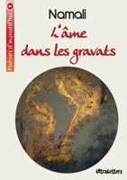L'âme dans les gravats (French Edition) 2390300235 Book Cover