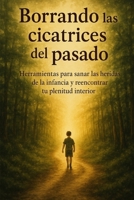 Borrando las cicatrices del pasado: Herramientas para sanar las heridas de la infancia y reencontrar tu plenitud interior (Spanish Edition) B0F496Z2Q2 Book Cover