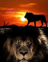 Lion Sketch Book: Practice Painting, Drawing, writing, Sketching or Creative Doodling. 1098529235 Book Cover