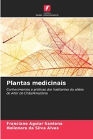Plantas medicinais (Portuguese Edition) 6209861849 Book Cover