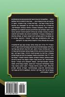 Islam & State in East Africa and the Appearance of Radical Muslim Organizations: Tanzania as a Case Study 1885881495 Book Cover