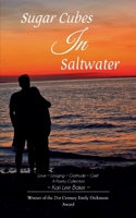 Sugar Cubes in Saltwater Love Longing Gratitude Grief A Poetry Collection B0GG4SK4QR Book Cover