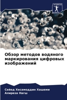 Обзор методов водяного маркирования цифр 620411168X Book Cover