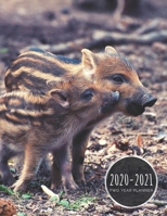 2020-2021 Two Year Planner: Baby Pig Planner January 1, 2020 to December 31, 2021 Weekly & Monthly Planner + Calendar Views 2 Year Calendar 24 Month Agenda Planner Gift For Piglet Lovers 1679116908 Book Cover