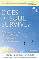 Does the Soul Survive: A Jewish Journey to Belief in Afterlife, Past Lives & Living With a Purpose 1580231659 Book Cover