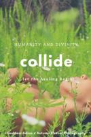Humanity and Divinity Collide: ...let the healing begin! 1545102287 Book Cover
